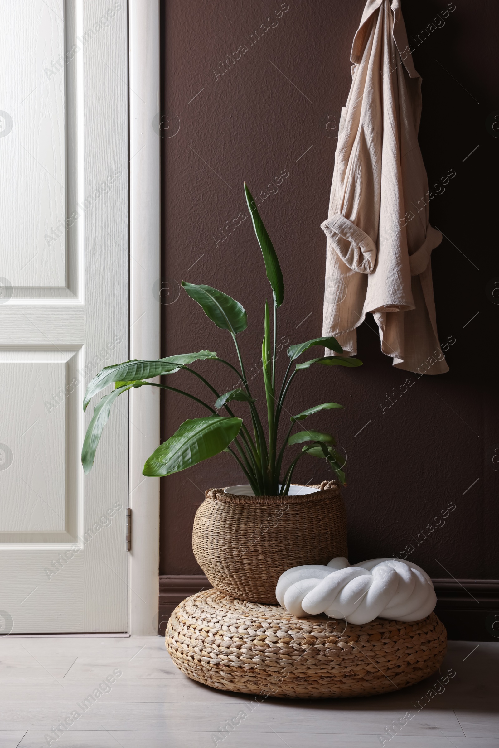 Stylish wicker pouf with houseplant and cushion at home Photo of Stylish wicker pouf with houseplant and cushion at home