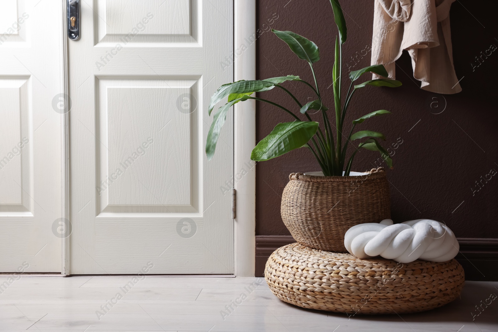 Stylish wicker pouf with houseplant and cushion at home Photo of Stylish wicker pouf with houseplant and cushion at home