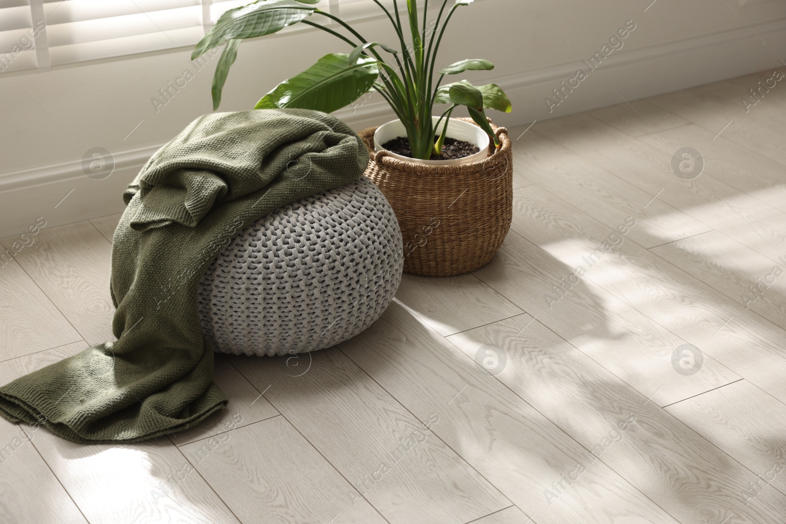 Stylish knitted pouf with plaid and houseplant at home Photo of Stylish knitted pouf with plaid and houseplant at home