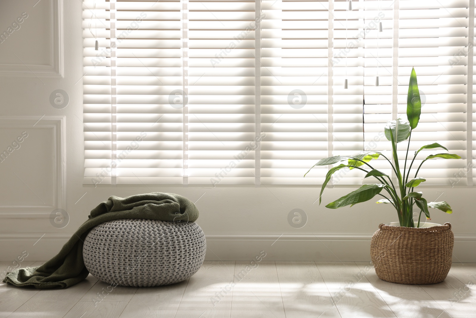 Stylish knitted pouf with plaid and houseplant at home. Space for text Photo of Stylish knitted pouf with plaid and houseplant at home. Space for text