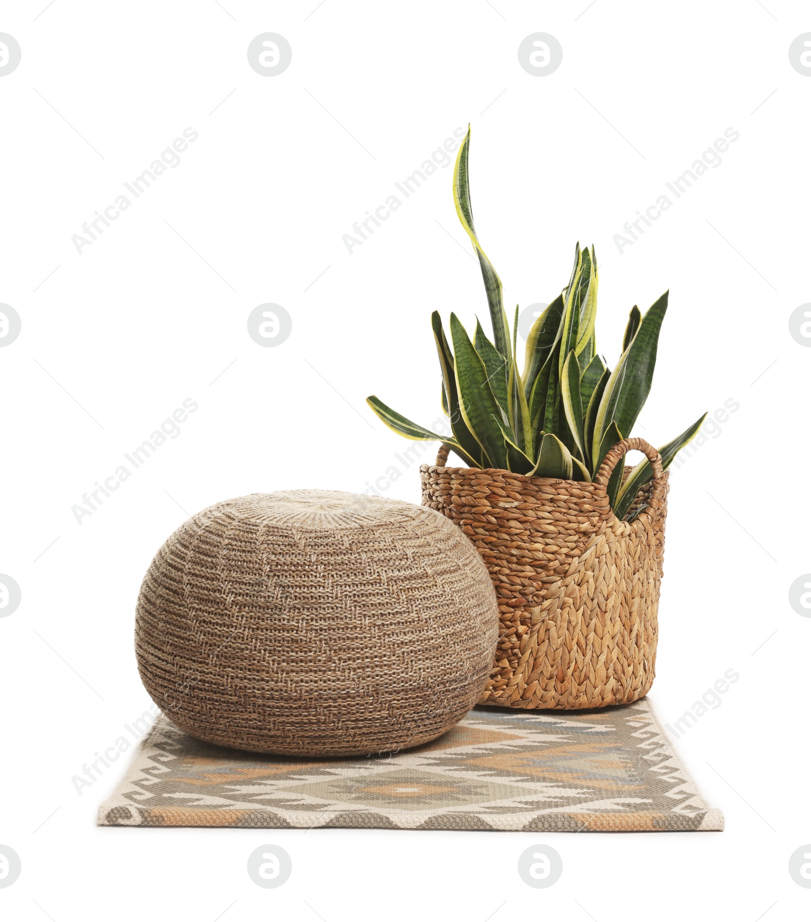 Stylish pouf and houseplant isolated on white Photo of Stylish pouf and houseplant isolated on white
