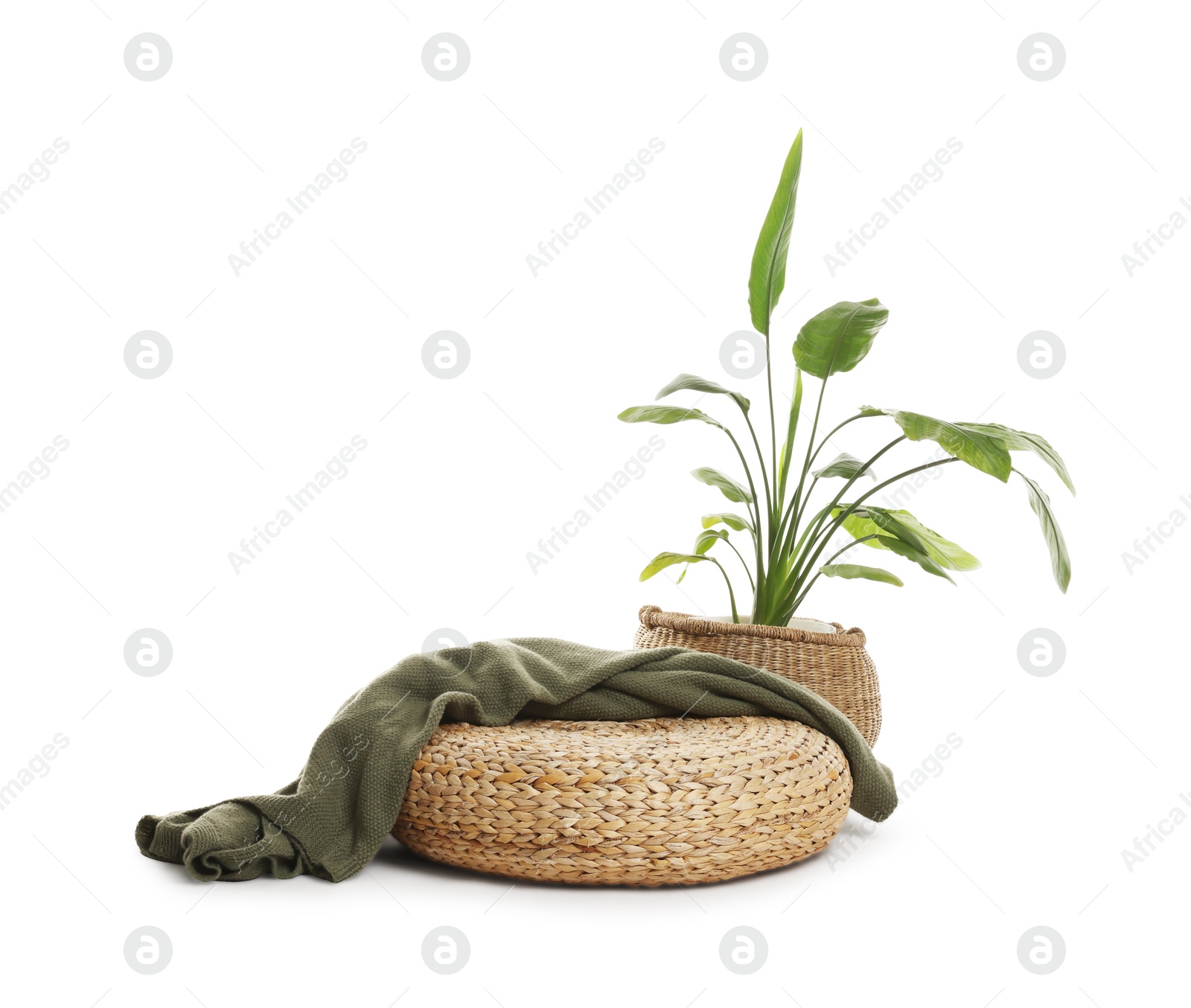 Stylish pouf with plaid and houseplant isolated on white Photo of Stylish pouf with plaid and houseplant isolated on white