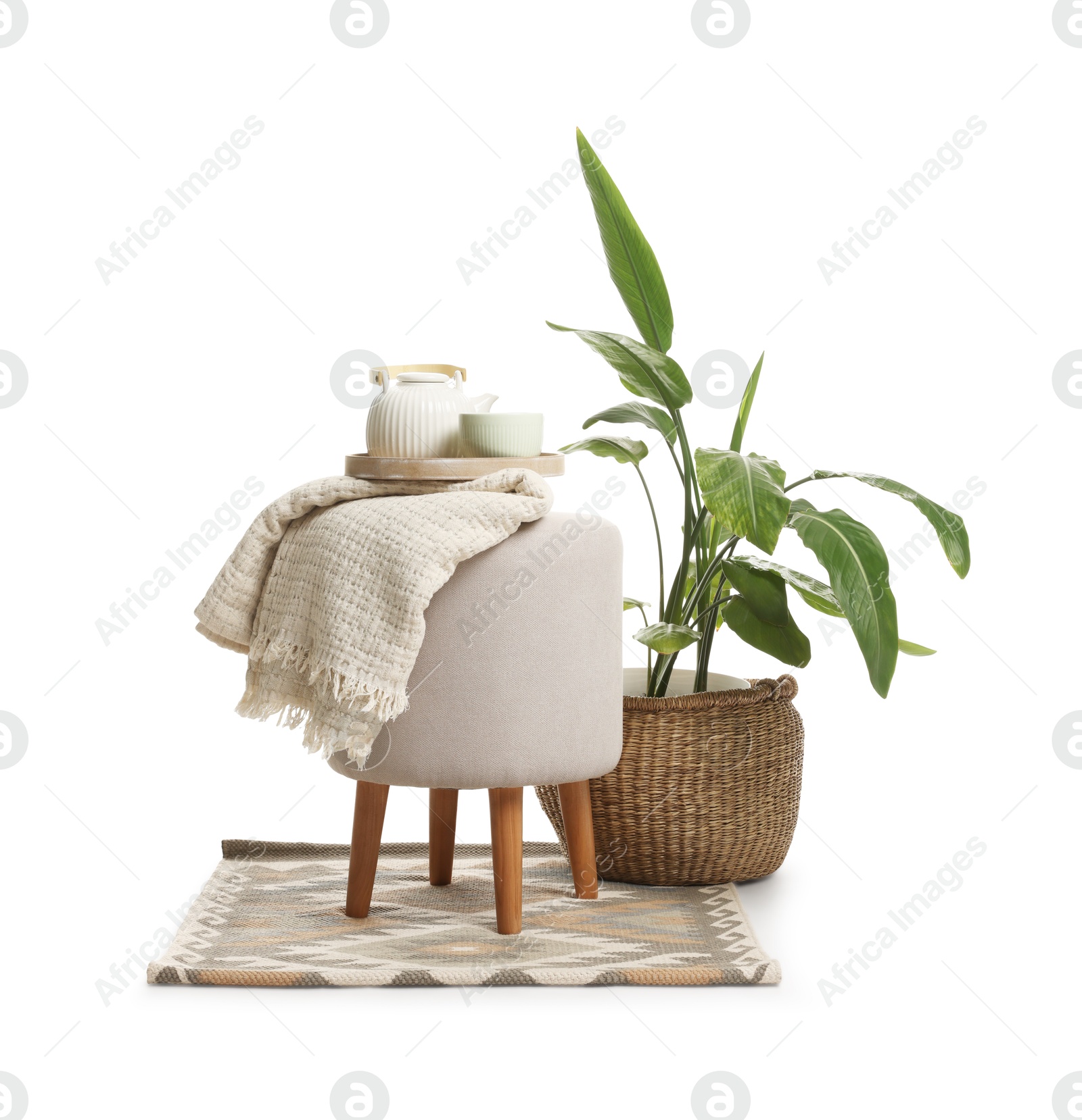 Stylish pouf with tea set, plaid and houseplant isolated on white Photo of Stylish pouf with tea set, plaid and houseplant isolated on white