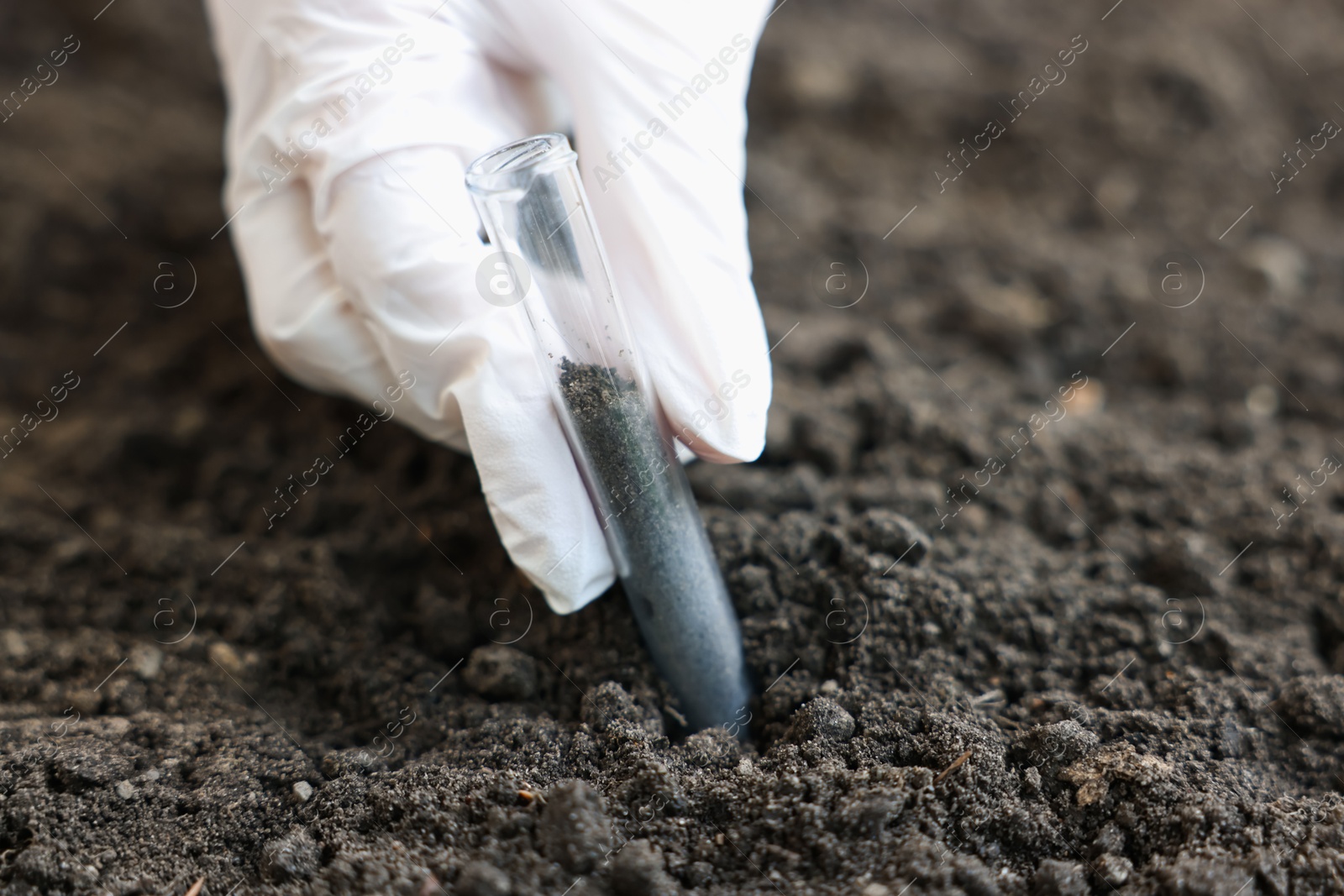 Scientist taking soil sample for research outdoors, closeup Photo of Scientist taking soil sample for research outdoors, closeup