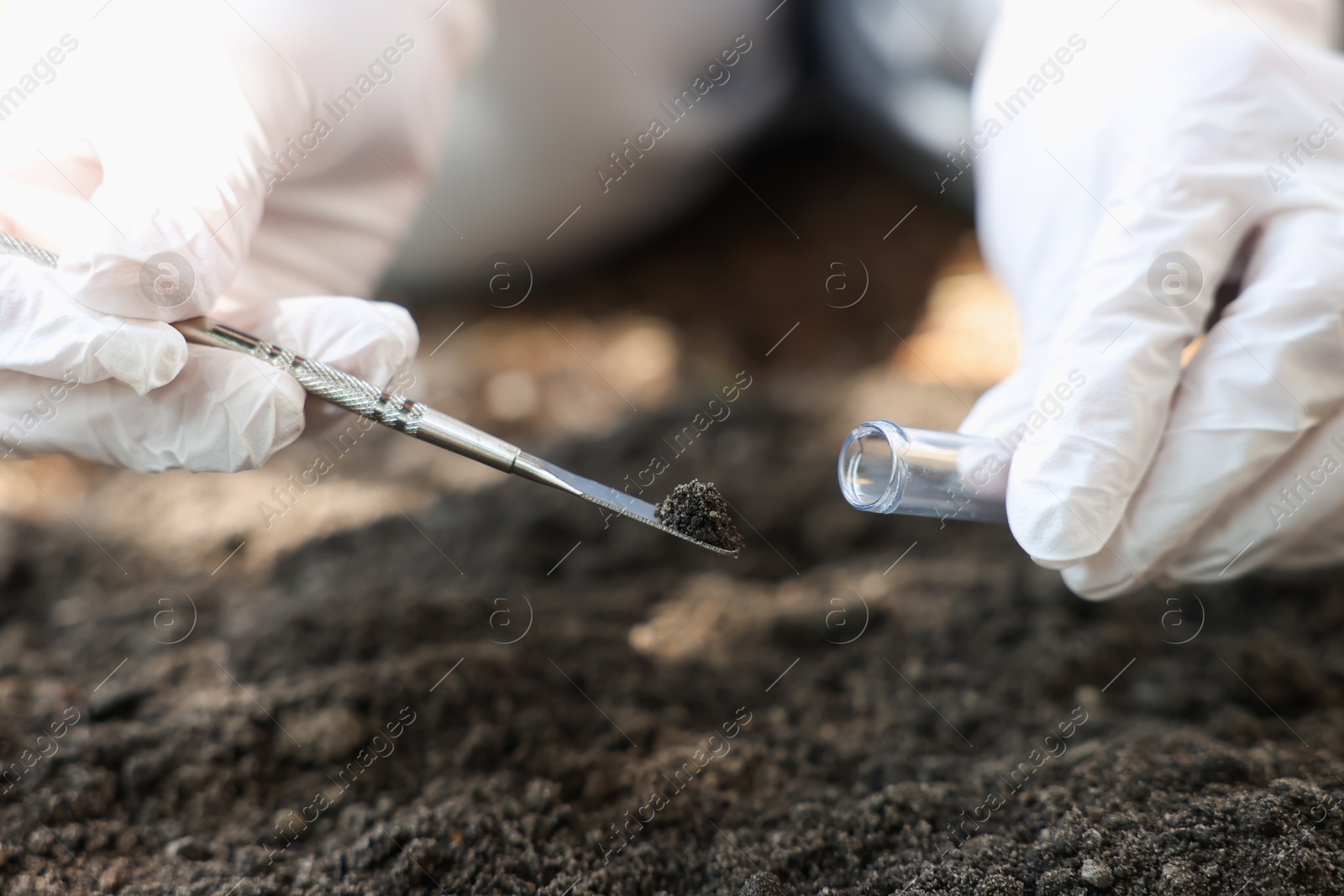 Scientist taking soil sample for research outdoors, closeup Photo of Scientist taking soil sample for research outdoors, closeup