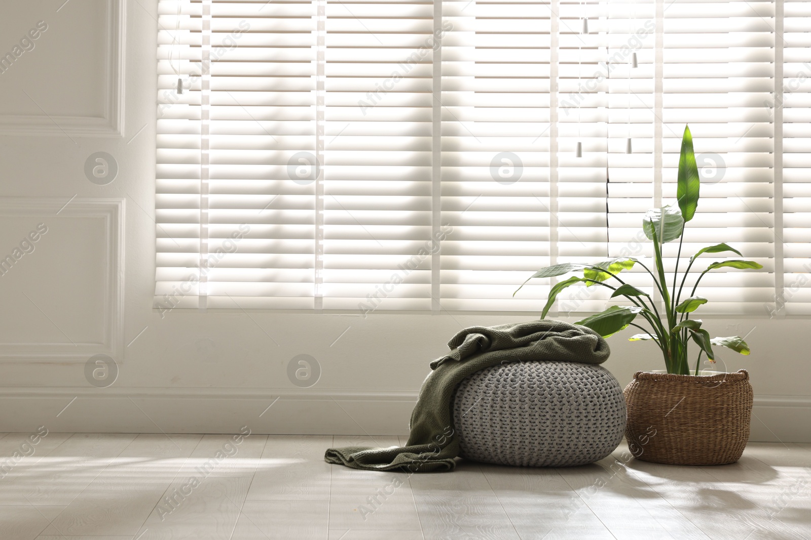 Stylish knitted pouf with plaid and houseplant at home. Space for text Photo of Stylish knitted pouf with plaid and houseplant at home. Space for text