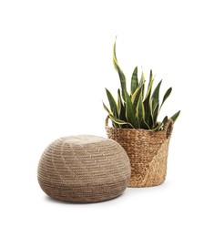 Photo of Stylish pouf and houseplant isolated on white