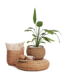 Photo of Stylish pouf with tea set, pillow and houseplant isolated on white
