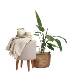 Photo of Stylish pouf with tea set, plaid and houseplant isolated on white
