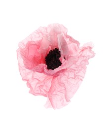 Photo of One beautiful poppy flower isolated on white