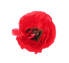 Photo of One beautiful poppy flower isolated on white