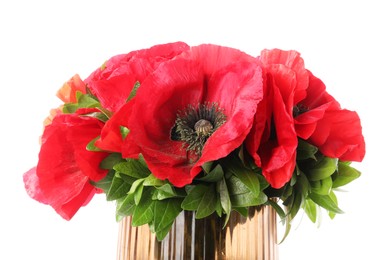Photo of Beautiful poppy flowers in vase isolated on white