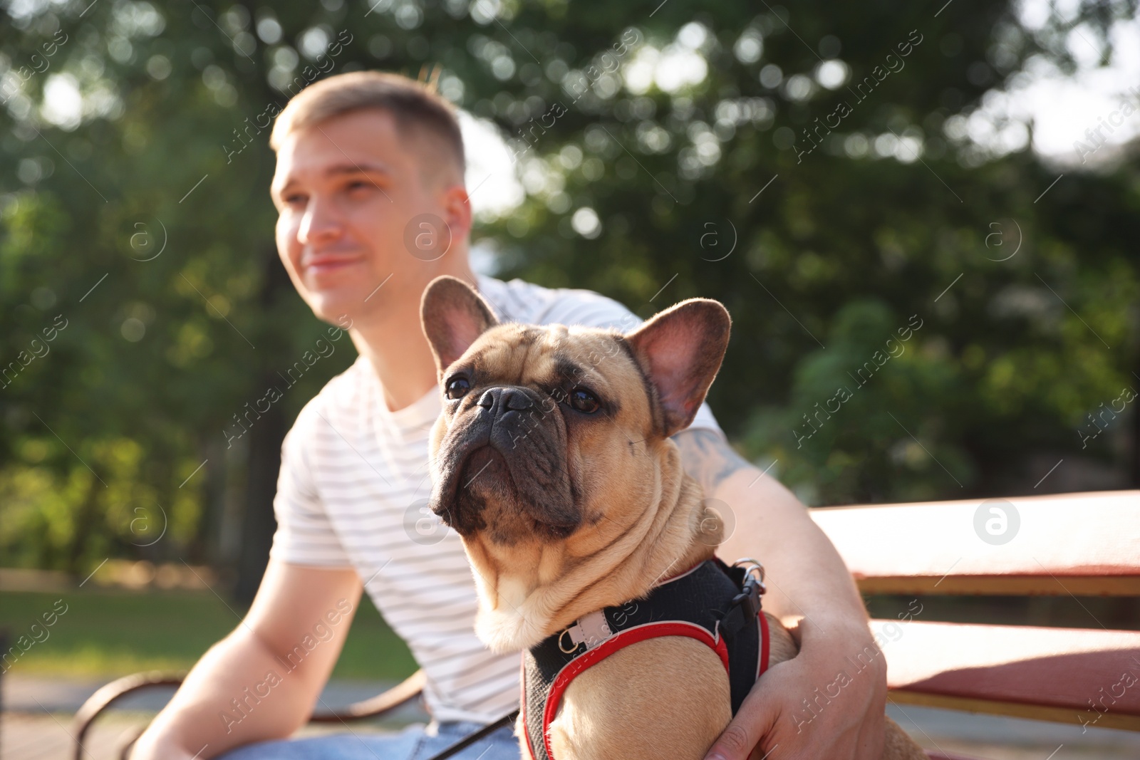 Photo of Happy man with his cute French bulldog on bench in park, selective focus