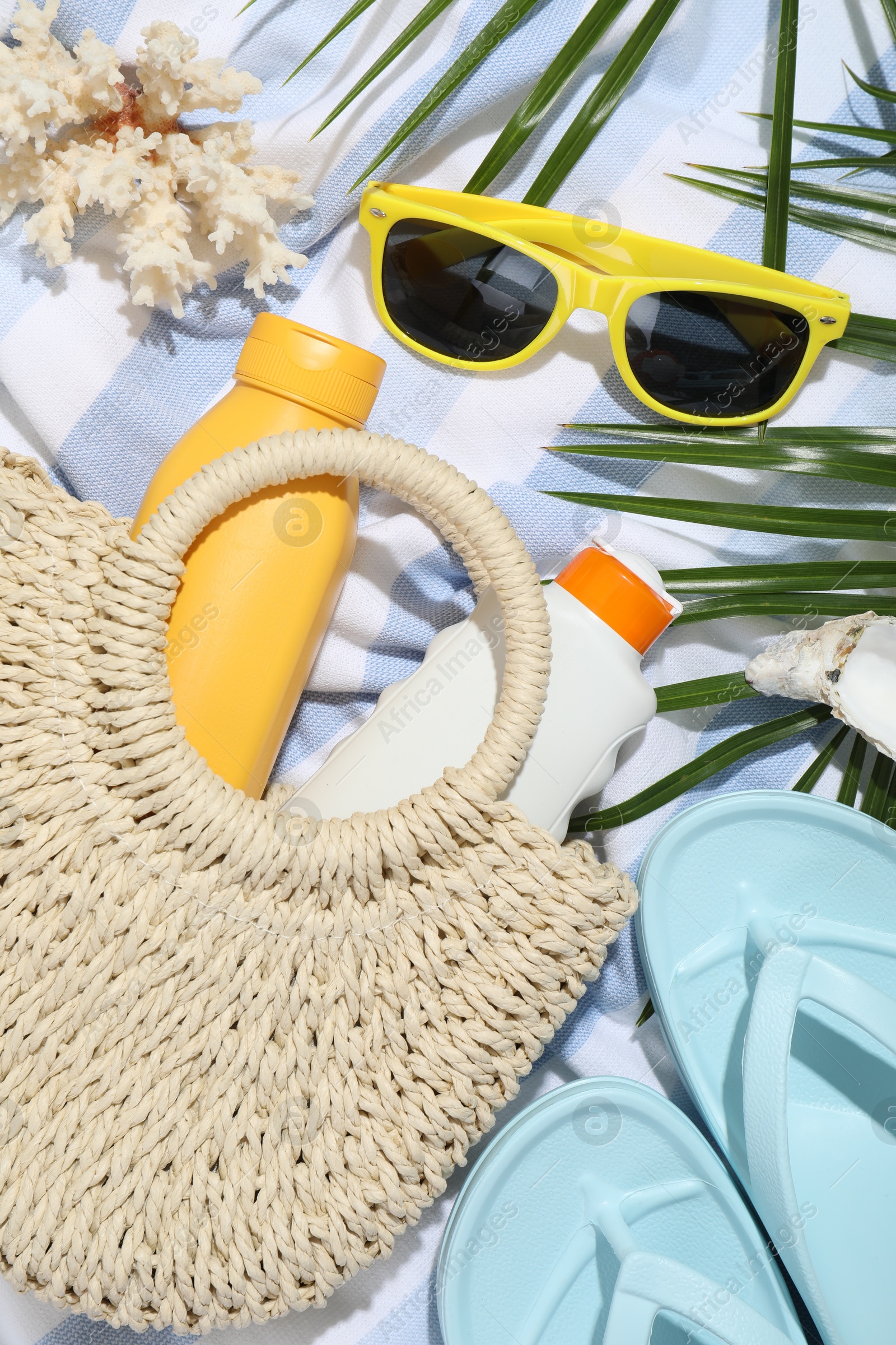 Beach accessories, sea shells and palm leaves on light blue background, flat lay Photo of Beach accessories, sea shells and palm leaves on light blue background, flat lay