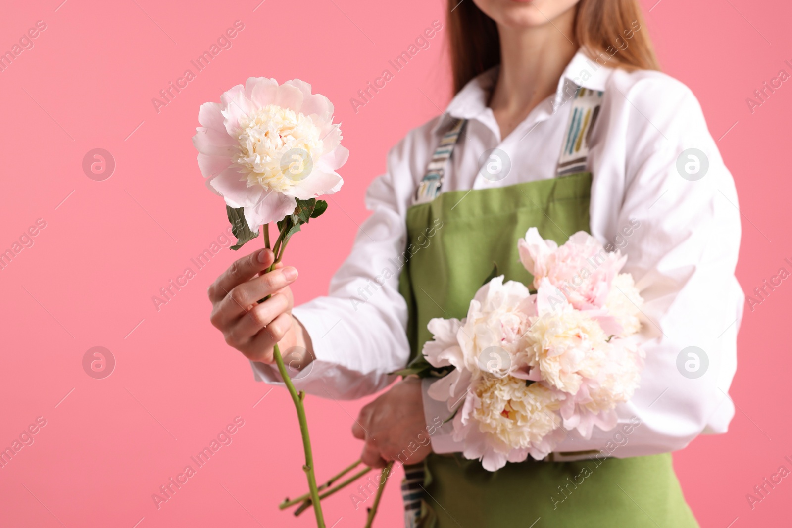 Photo of Florist with beautiful peonies on pink background, closeup. Space for text
