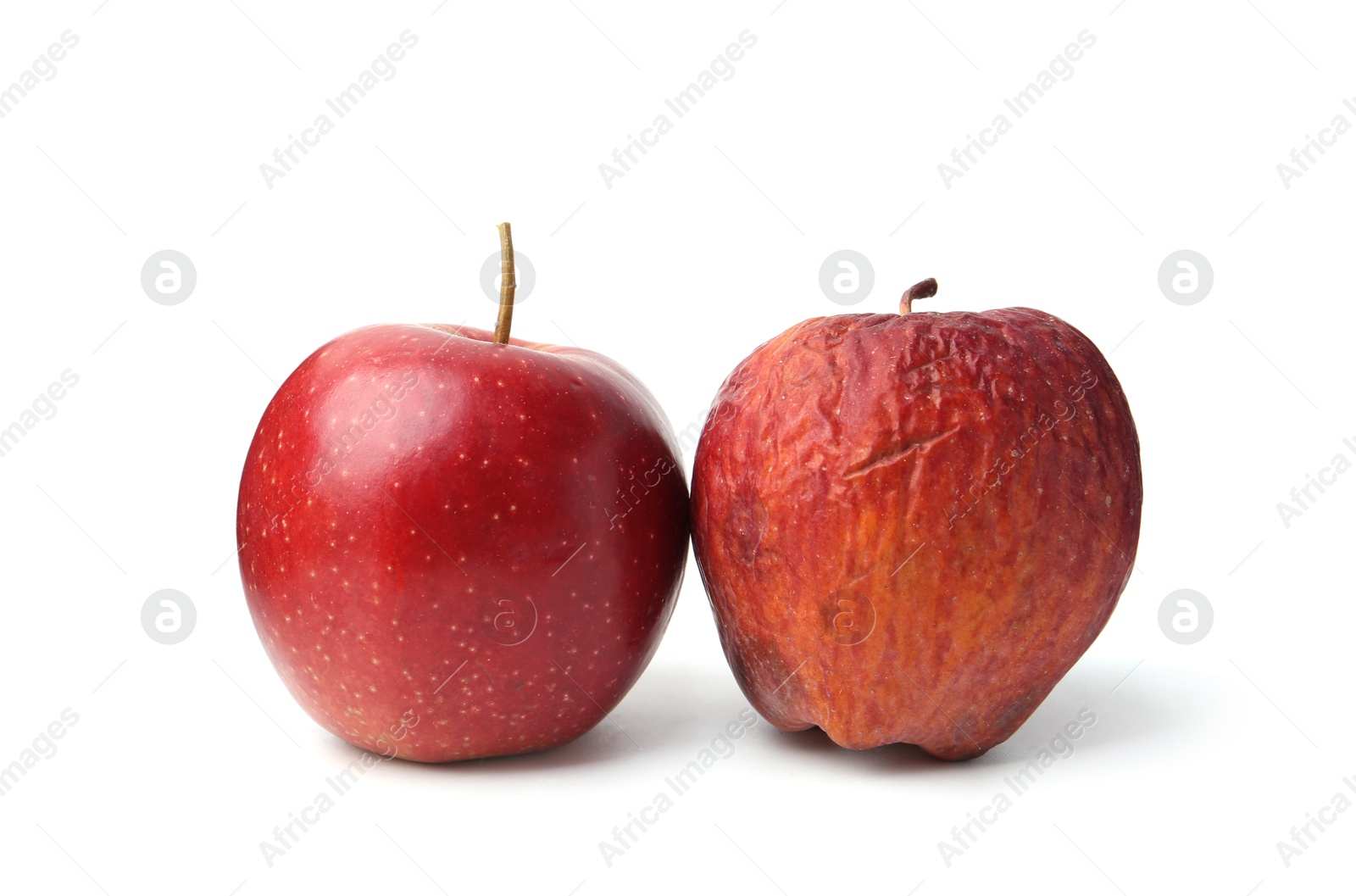 Rotten apple and fresh one isolated on white Photo of Rotten apple and fresh one isolated on white