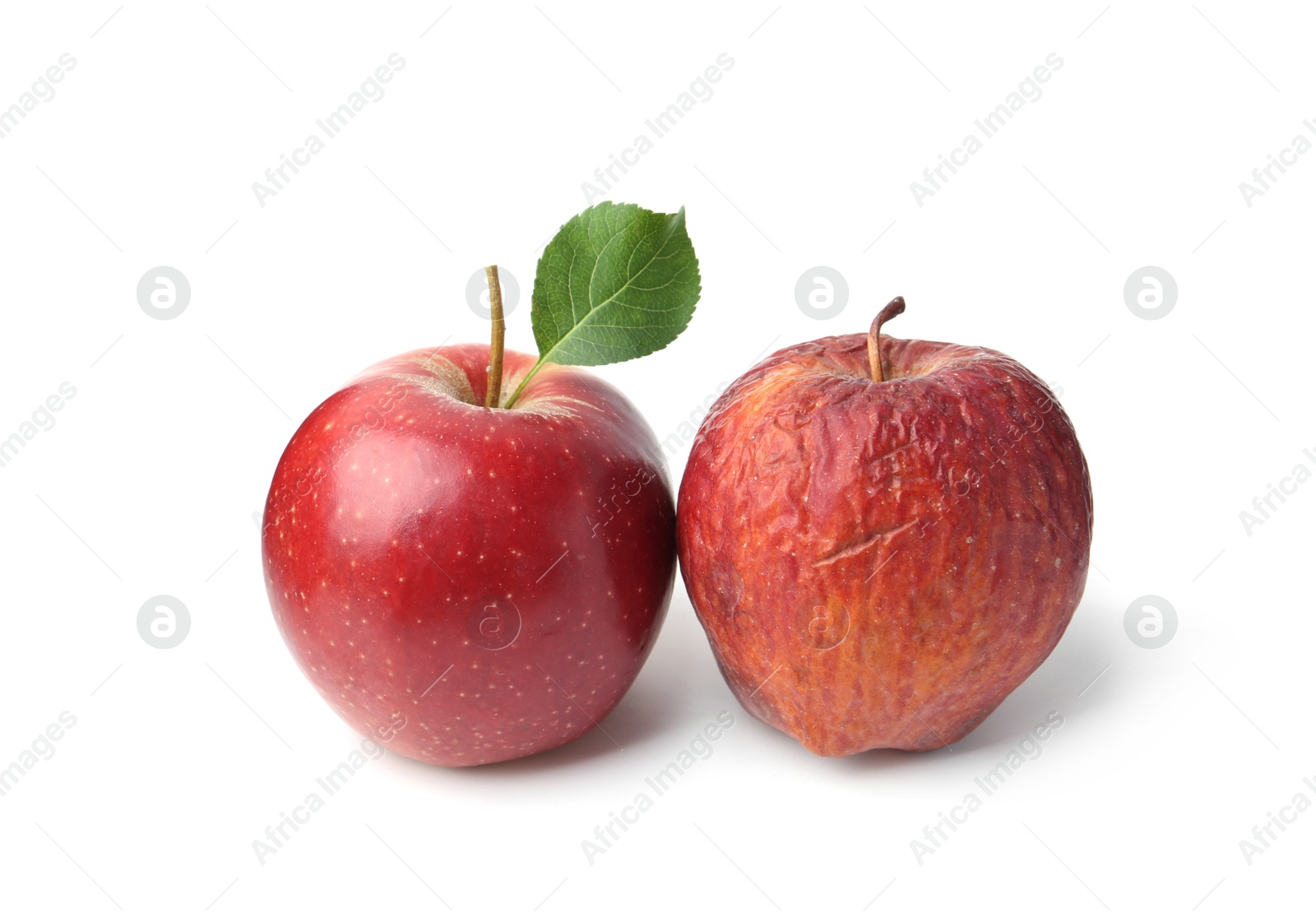 Rotten apple and fresh one isolated on white Photo of Rotten apple and fresh one isolated on white