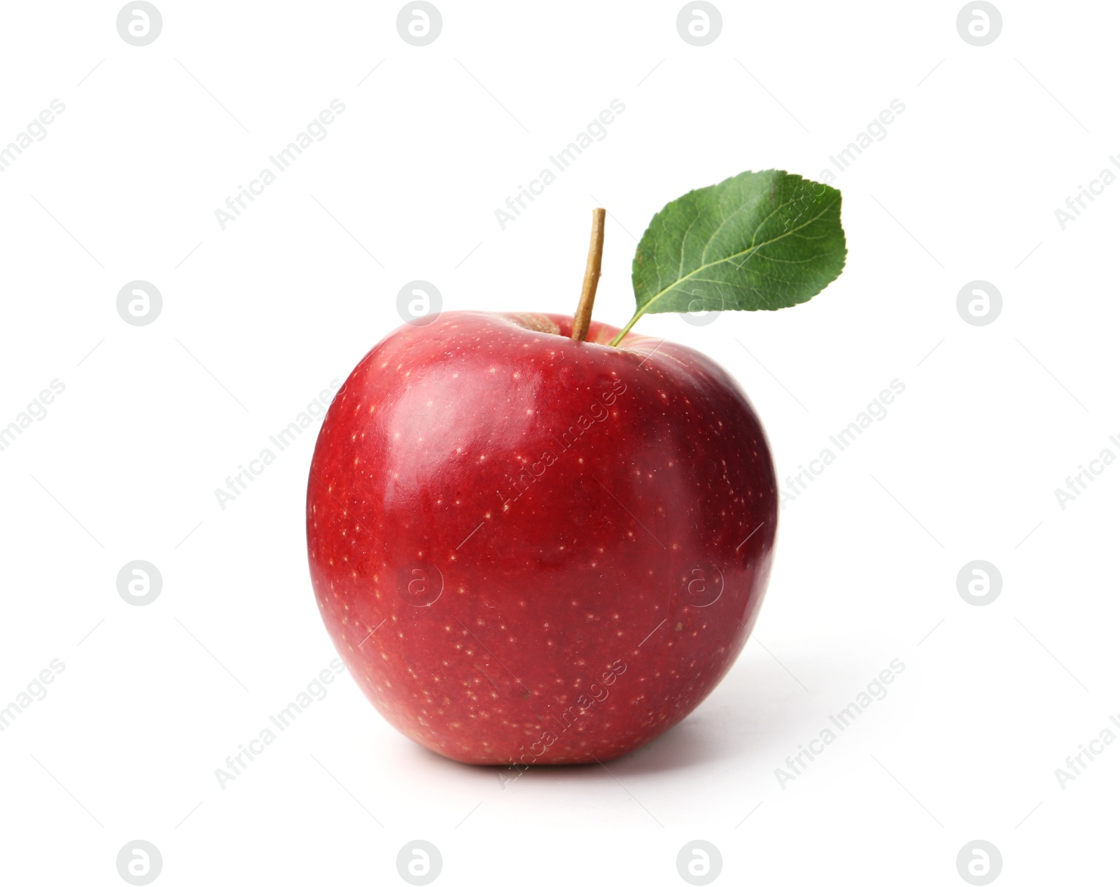 One fresh apple with green leaf isolated on white Photo of One fresh apple with green leaf isolated on white