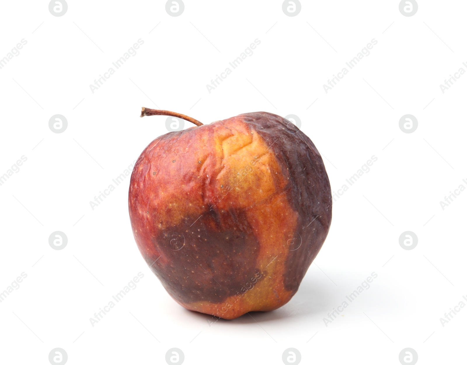 Photo of One rotten apple with wrinkles isolated on white