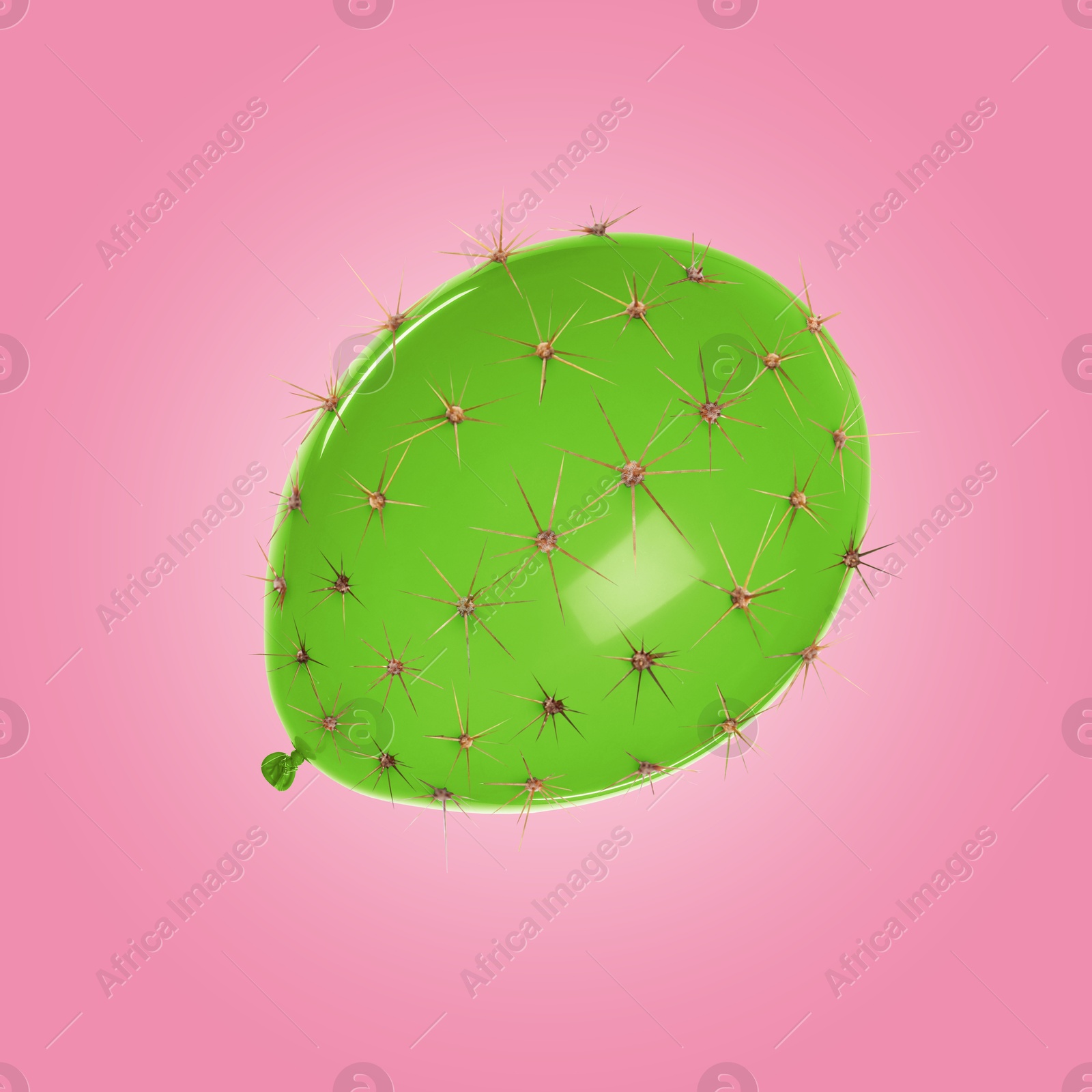 Green balloon covered with cactus prickles on pink background Image of Green balloon covered with cactus prickles on pink background