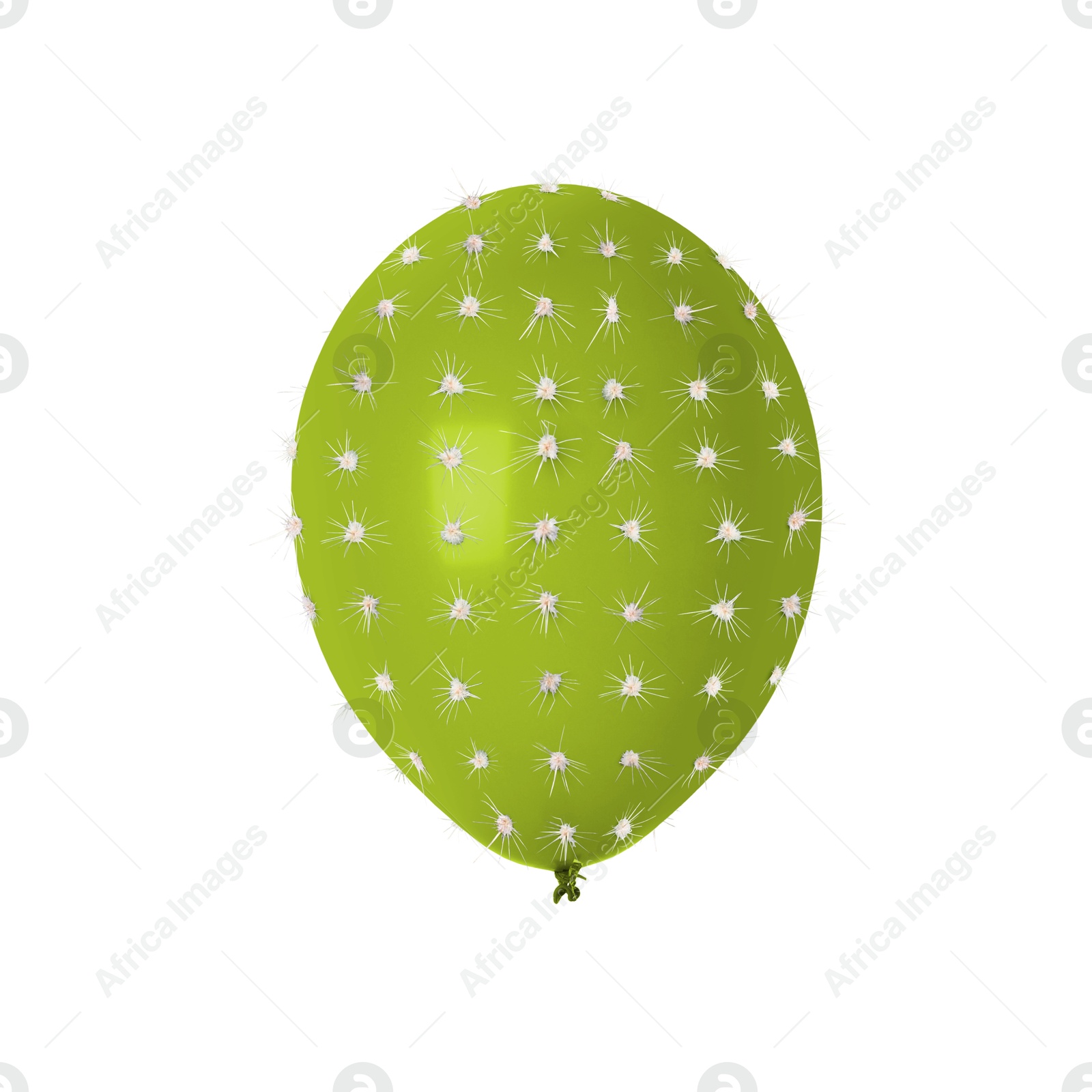 Image of Green balloon covered with cactus prickles on white background