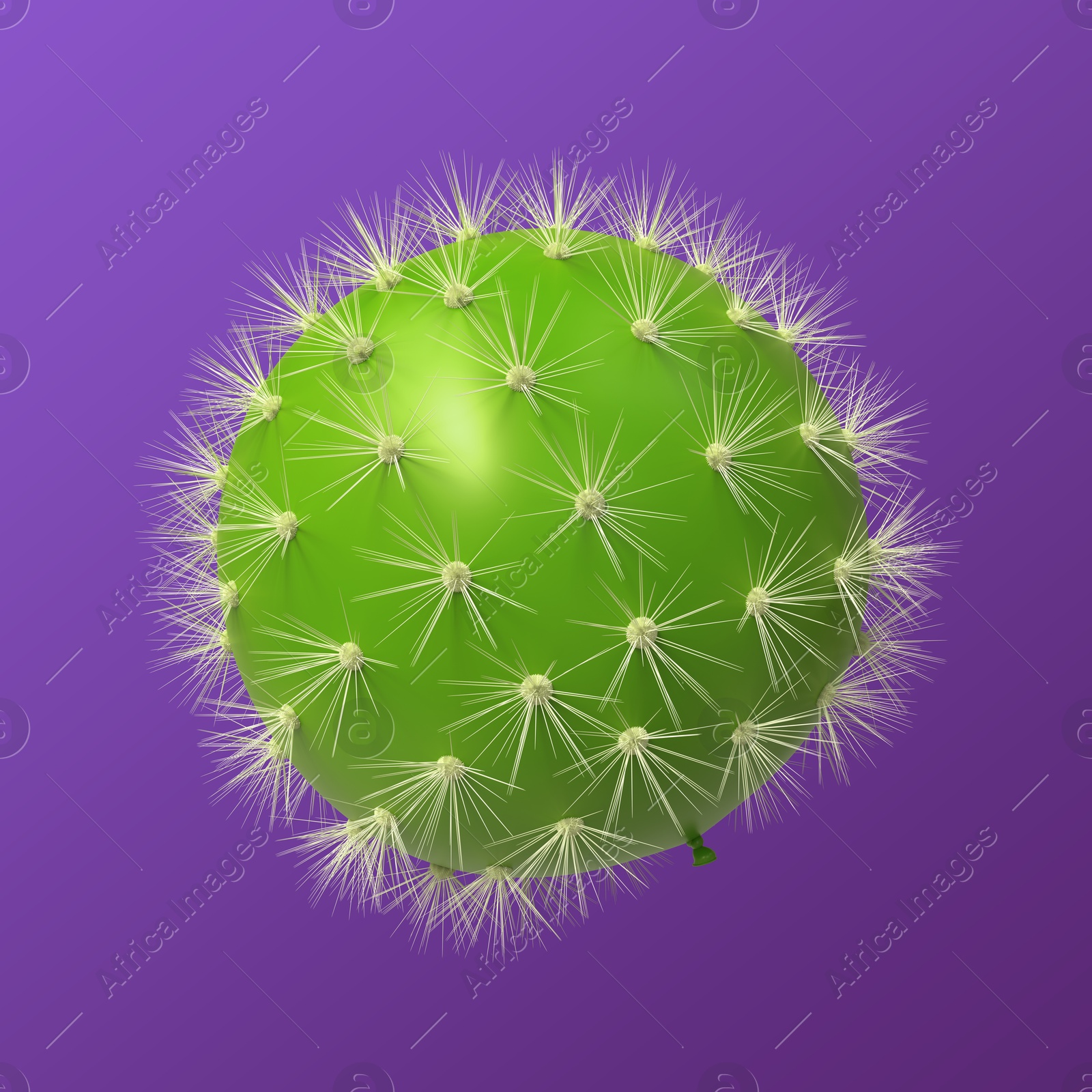 Green balloon covered with cactus prickles on purple gradient background Image of Green balloon covered with cactus prickles on purple gradient background
