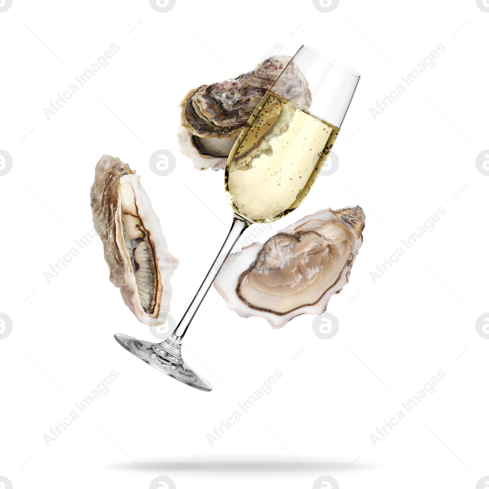 Image of Sparkling wine in glass and fresh oysters falling on white background