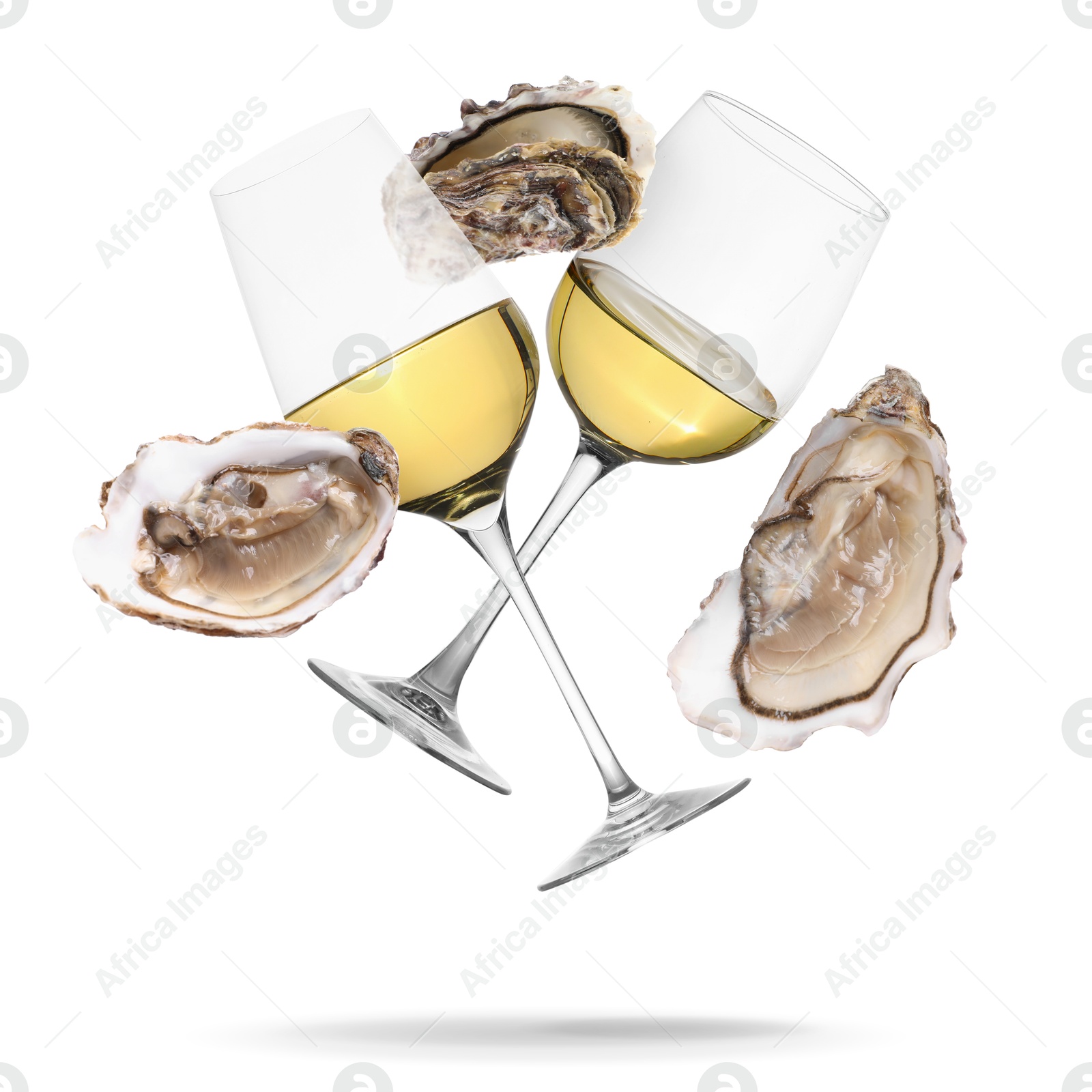 Wine in glasses and fresh oysters falling on white background Image of Wine in glasses and fresh oysters falling on white background