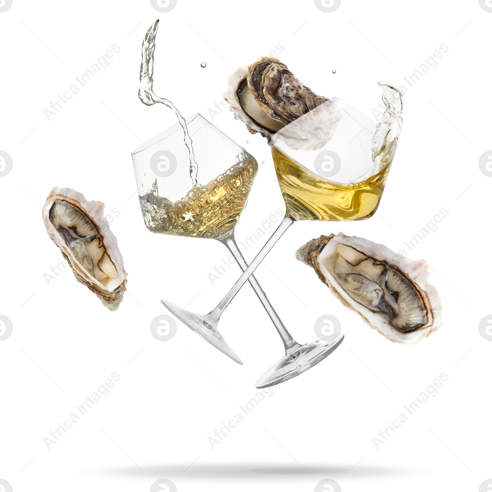 Wine in glasses and fresh oysters falling on white background Image of Wine in glasses and fresh oysters falling on white background