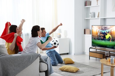 Image of Football fans watching soccer match on TV set at home