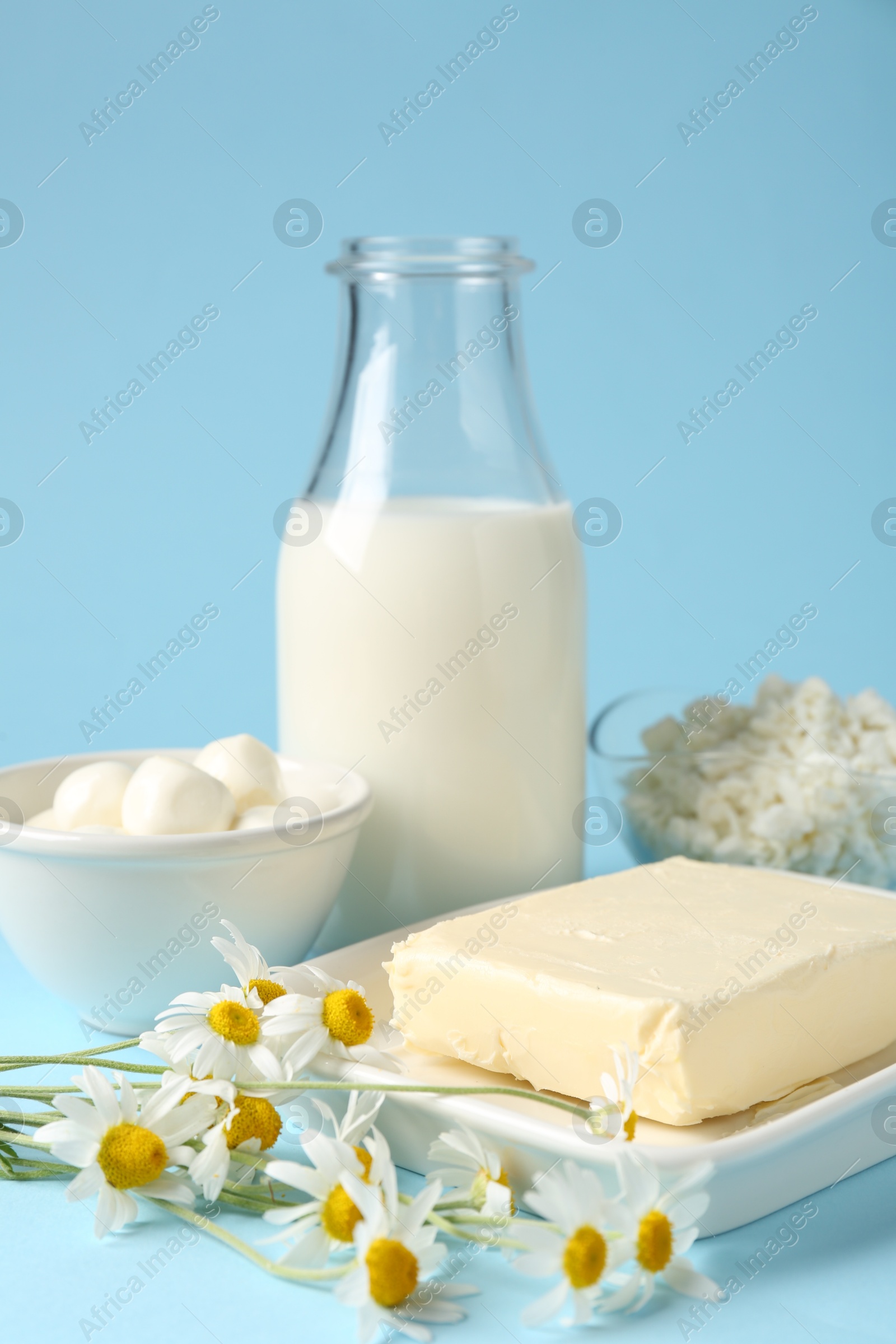Fresh dairy products and chamomile flowers on light blue background, closeup Photo of Fresh dairy products and chamomile flowers on light blue background, closeup