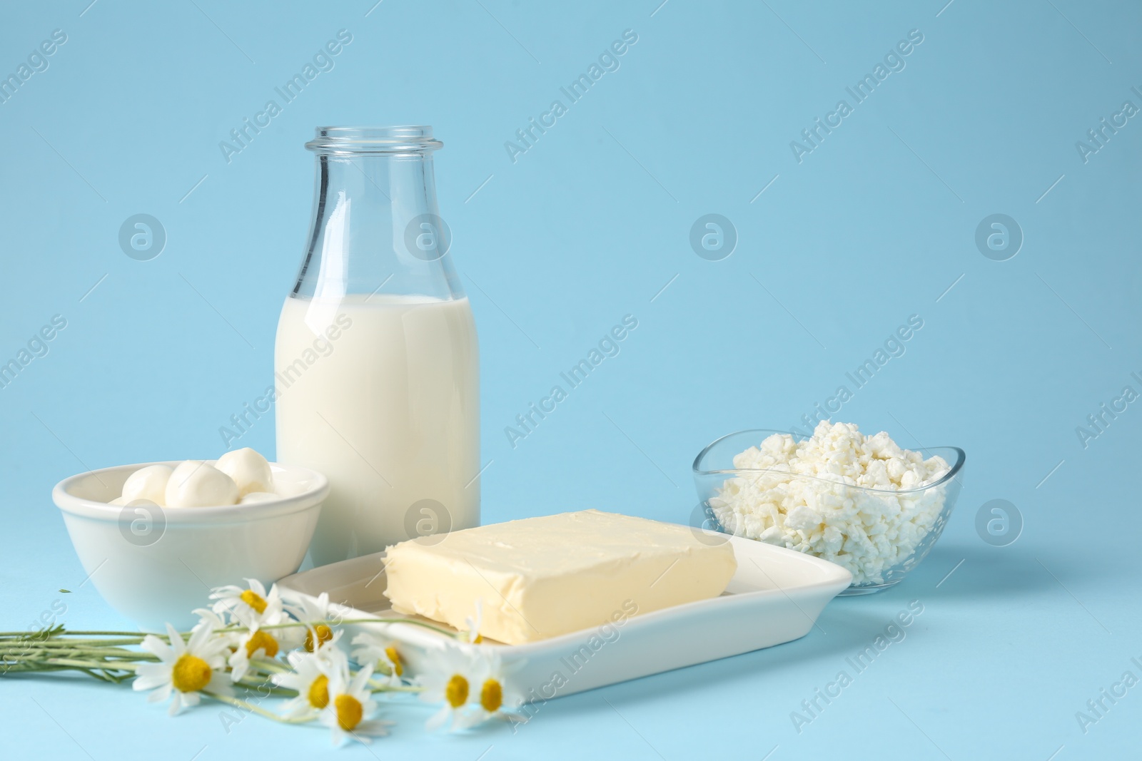 Photo of Fresh dairy products and chamomile flowers on light blue background