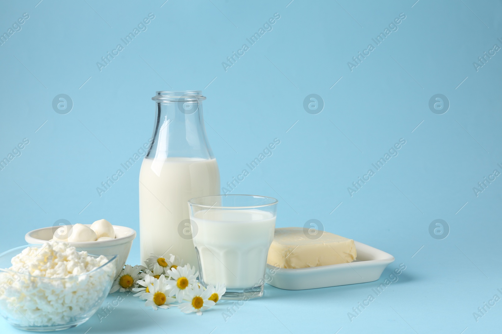 Photo of Fresh dairy products and chamomile flowers on light blue background. Space for text