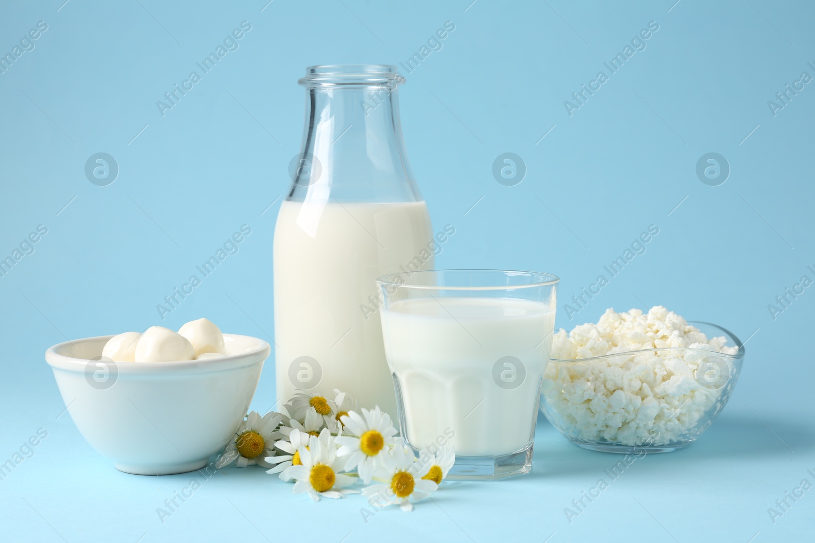 Fresh dairy products and chamomile flowers on light blue background Photo of Fresh dairy products and chamomile flowers on light blue background