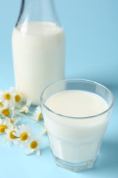 Photo of Fresh milk and chamomile flowers on light blue background, closeup