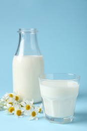 Photo of Fresh milk and chamomile flowers on light blue background, closeup