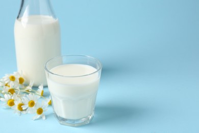 Photo of Fresh milk in bottle, glass and chamomile flowers on light blue background, closeup with space for text. Dairy products