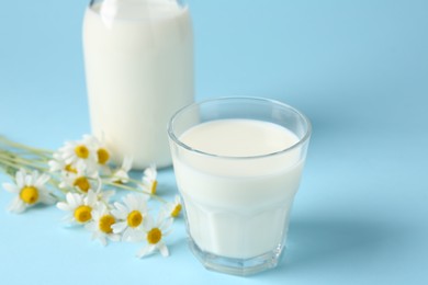 Photo of Fresh milk and chamomile flowers on light blue background, closeup