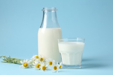 Photo of Fresh milk in bottle, glass and chamomile flowers on light blue background, closeup. Dairy products