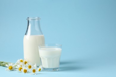 Photo of Fresh milk in bottle, glass and chamomile flowers on light blue background, space for text. Dairy products