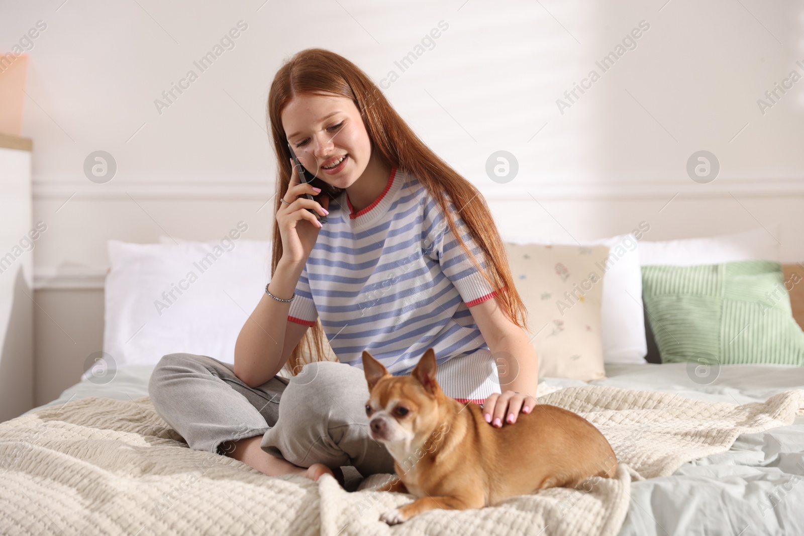 Smiling teenage girl talking by smartphone and dog on bed at home Photo of Smiling teenage girl talking by smartphone and dog on bed at home
