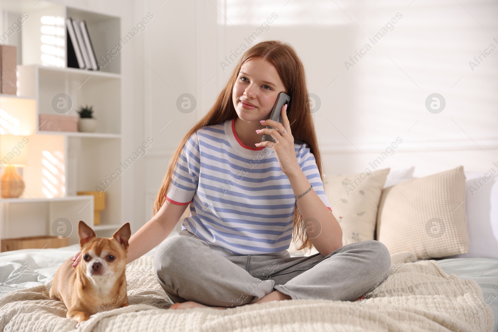 Teenage girl talking by smartphone and dog on bed at home Photo of Teenage girl talking by smartphone and dog on bed at home
