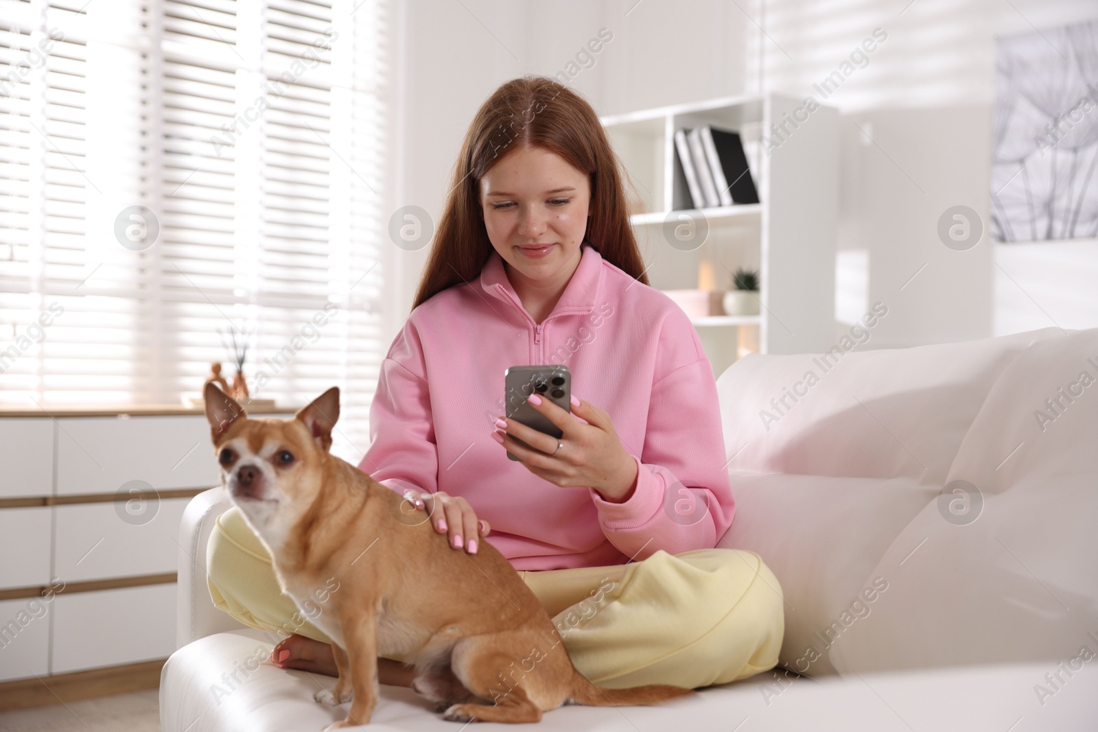 Beautiful teenage girl with smartphone and dog on sofa at home Photo of Beautiful teenage girl with smartphone and dog on sofa at home