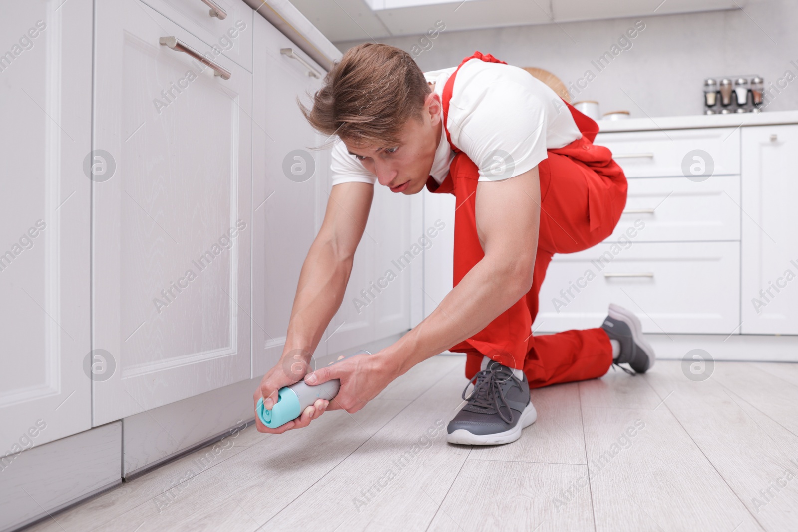 Photo of Pest control worker spraying insecticide at home