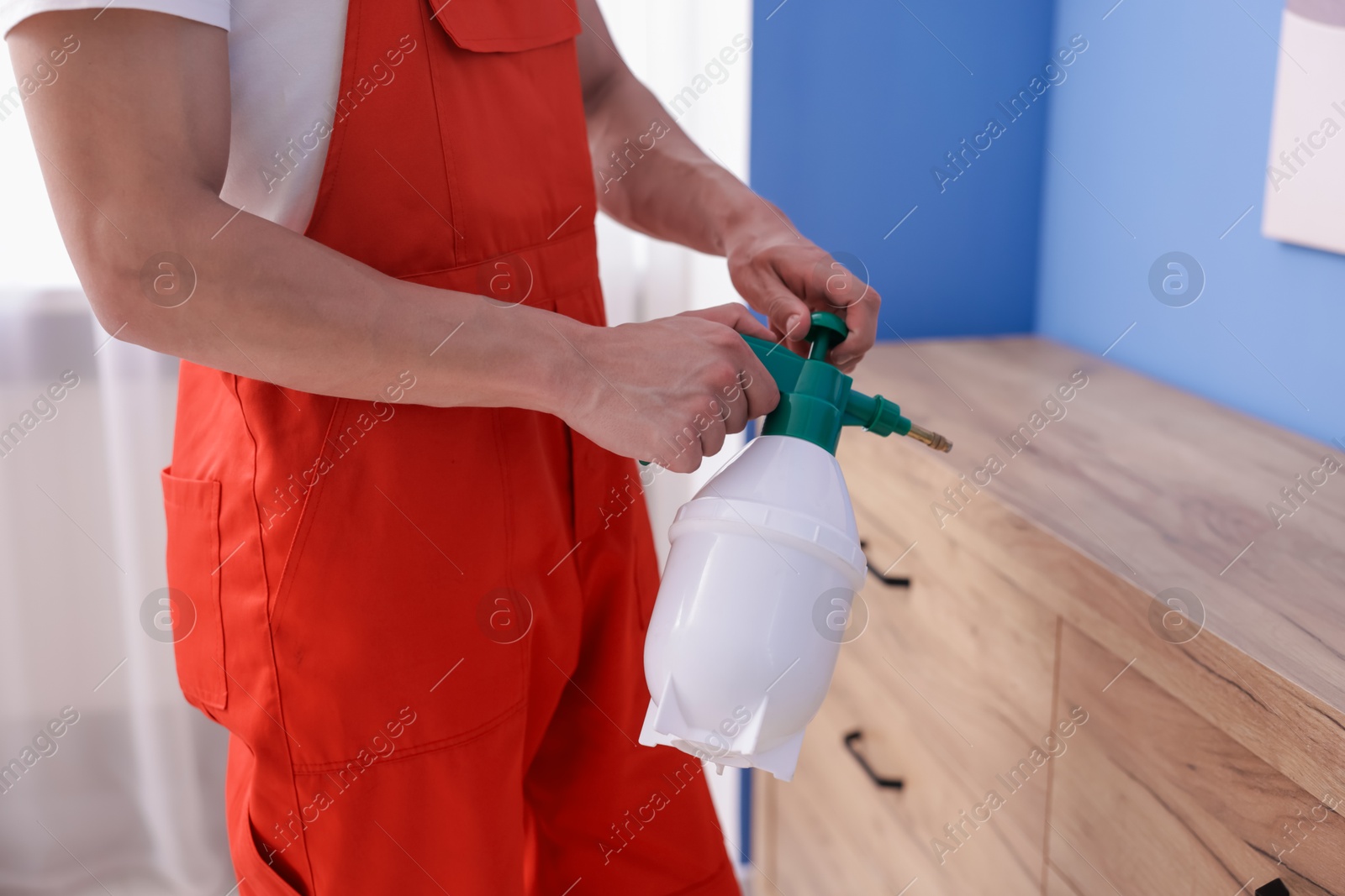Pest control worker spraying insecticide at home, closeup Photo of Pest control worker spraying insecticide at home, closeup
