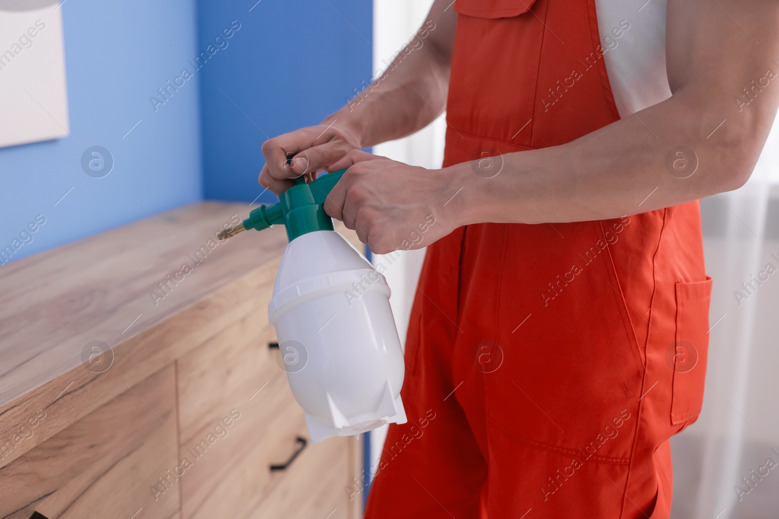 Pest control worker spraying insecticide at home, closeup Photo of Pest control worker spraying insecticide at home, closeup