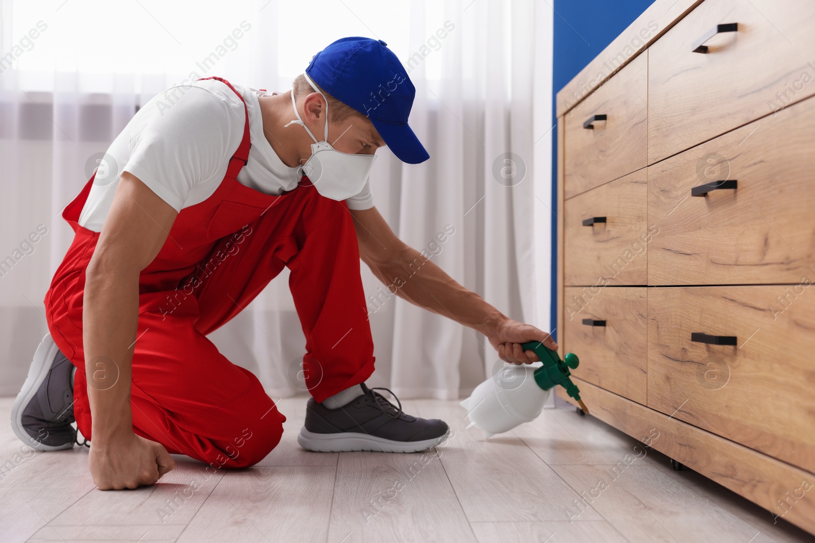 Photo of Pest control worker spraying insecticide at home