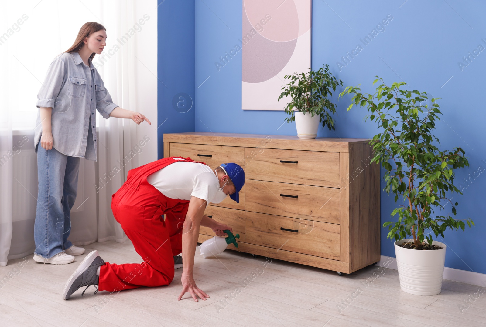 Worried woman and pest control worker spraying insecticide at home Photo of Worried woman and pest control worker spraying insecticide at home
