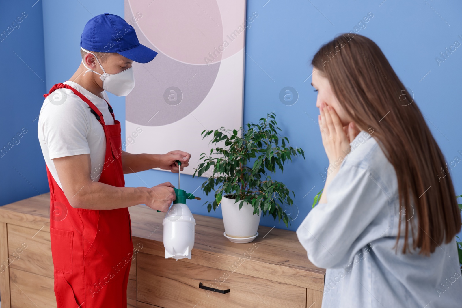 Worried woman and pest control worker spraying insecticide at home Photo of Worried woman and pest control worker spraying insecticide at home