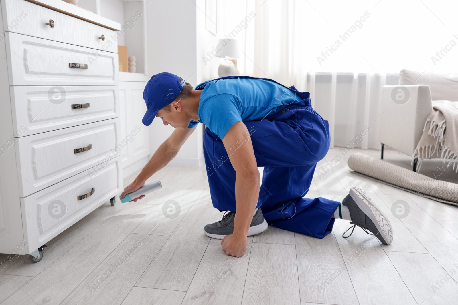 Photo of Pest control worker spraying insecticide at home